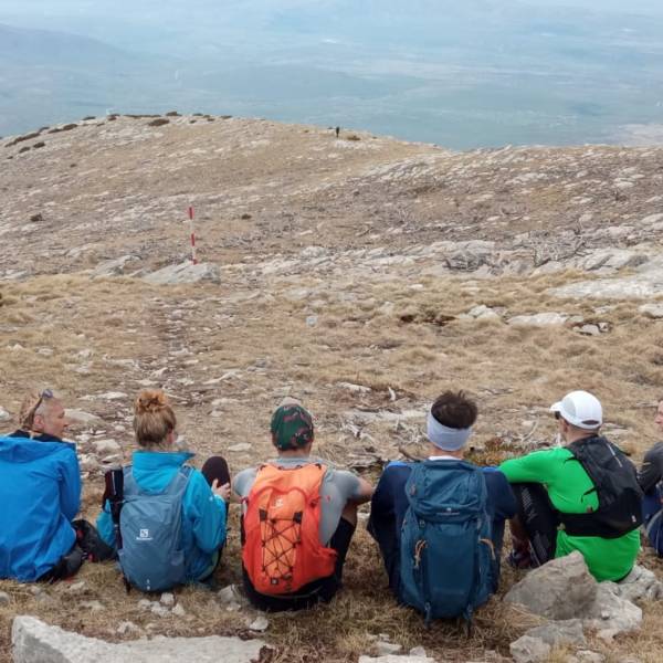 “Šta vi točno&nbsp;radite?”